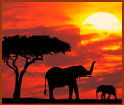 KENYA