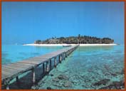 MALDIVES
