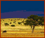 SOUTH AFRICA