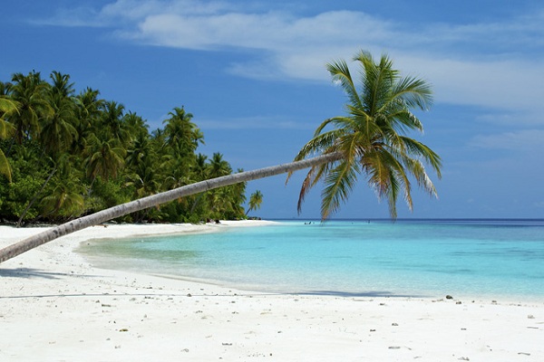 BEACH TOURS