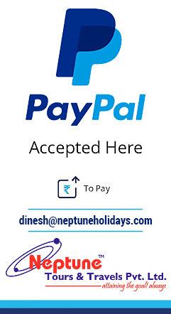 paypal