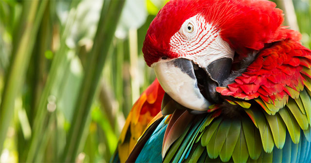 balibirdpark-002.jpg