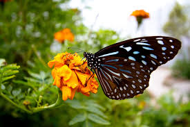 images_3_2.jpg