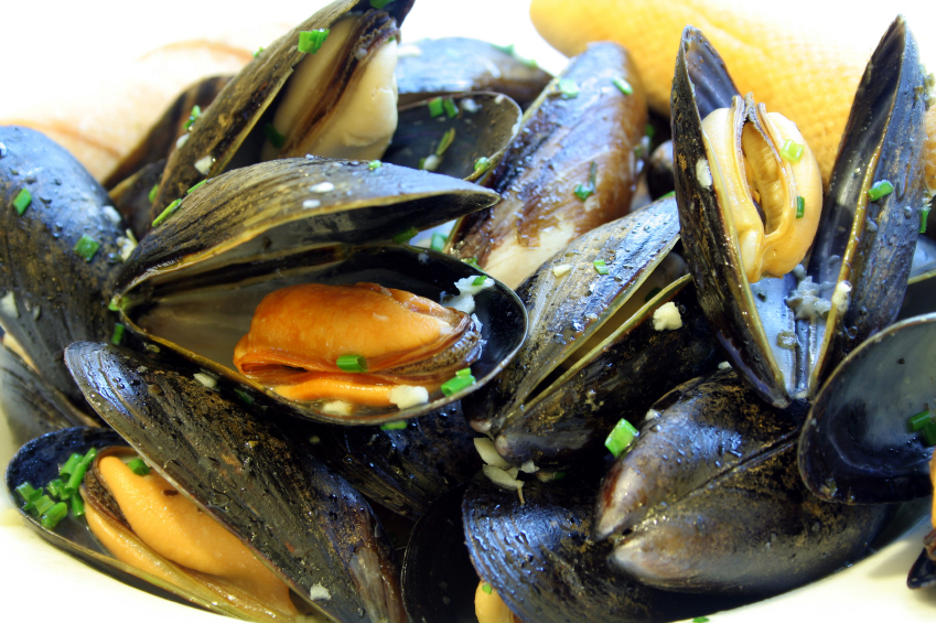 mussels.jpg