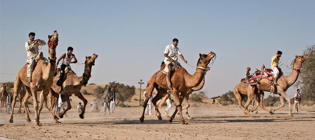 International-Camel-Derby-Festival.jpg