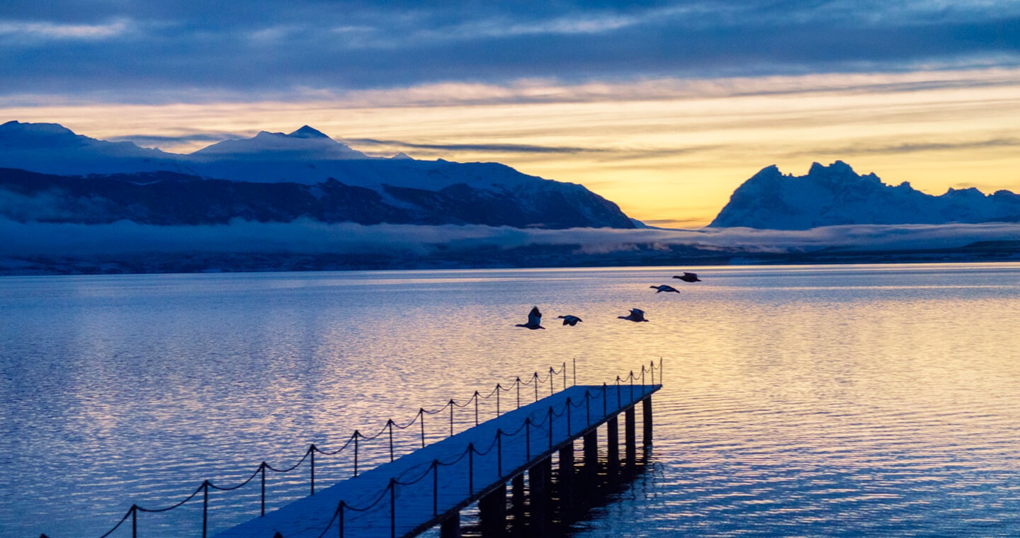 El Calafate - Puerto Natales.