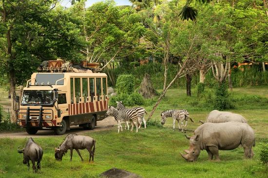 Bogor & Safari Jakarta