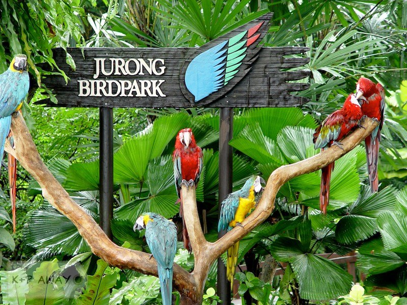 Singapore