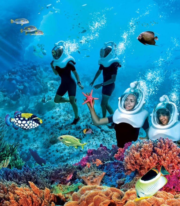 Mauritius (ILE AUX CERFS)